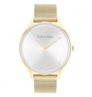 Watch Calvin Klein Woman in Steel 25200003 - 25200003
